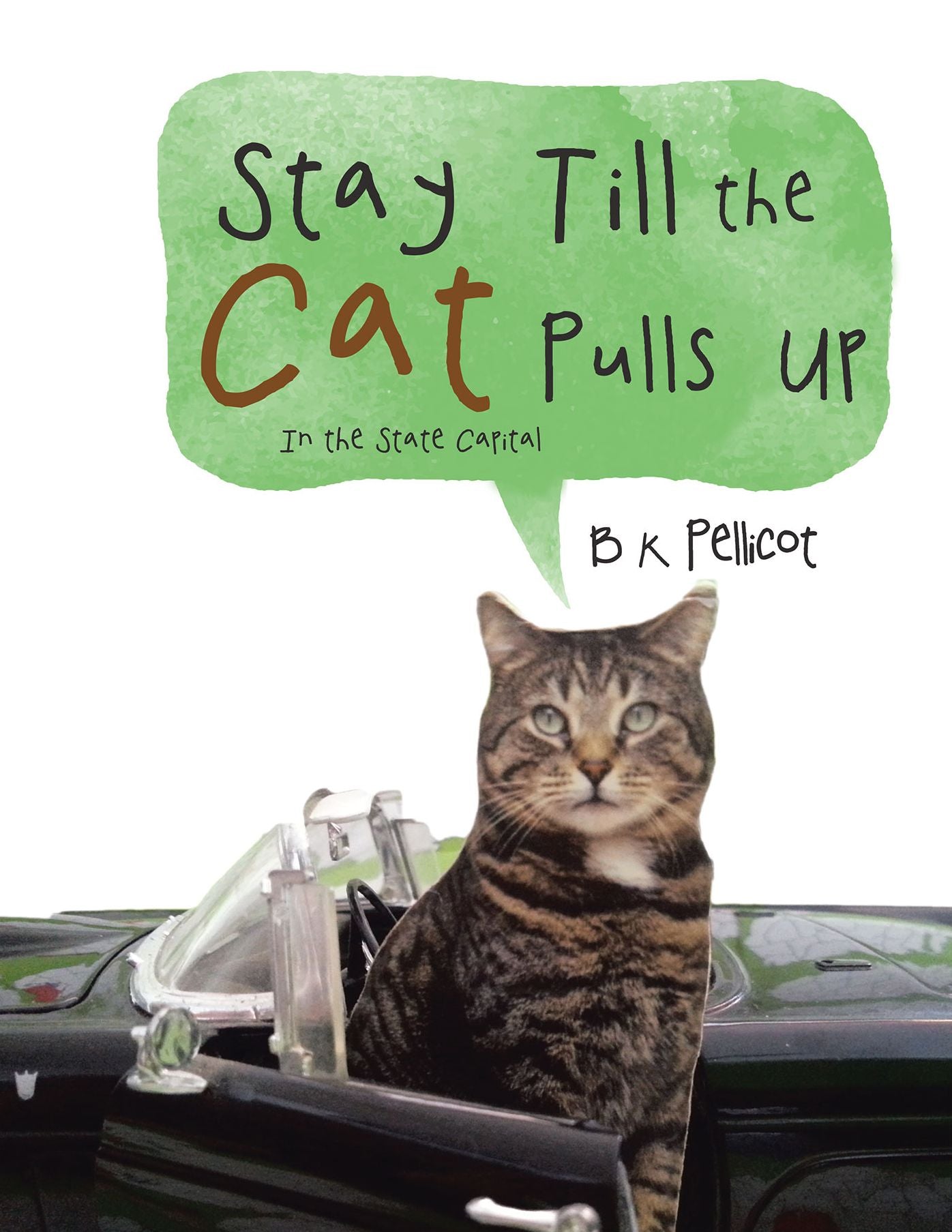 Stay Till the Cat Pulls Up: In the State Capital (PagePerfect NOOK Book)
