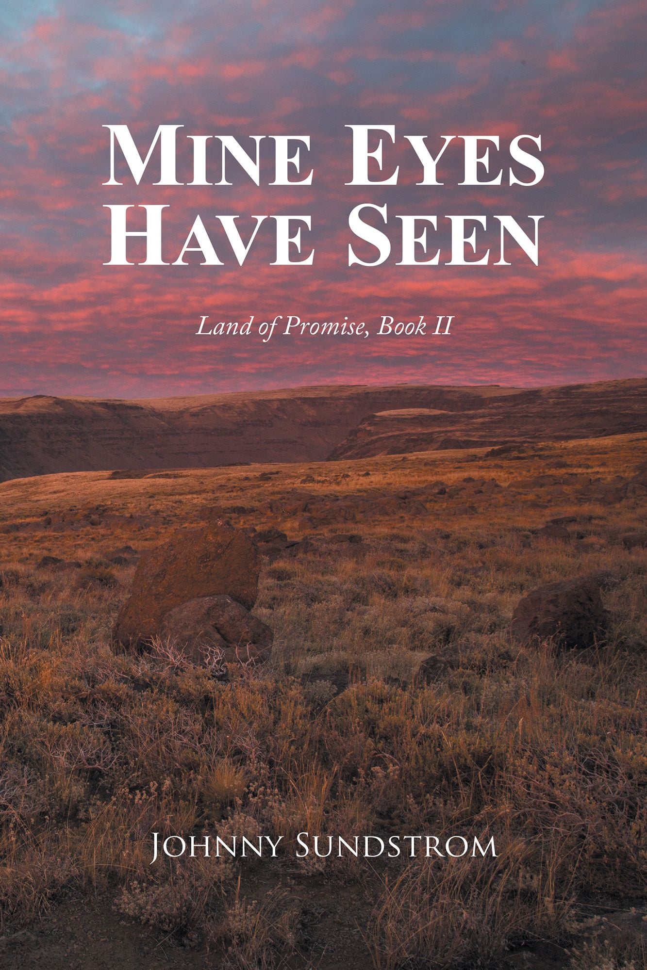 Mine Eyes Have Seen: Land of Promise, Book II