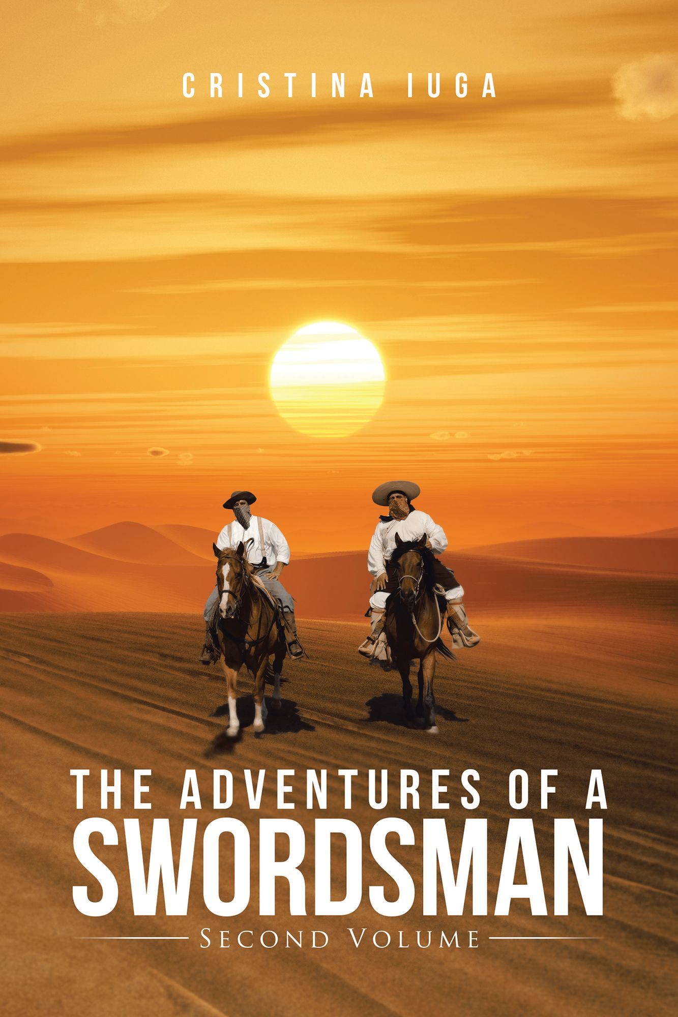 The Adventures of a Swordsman: Second Volume