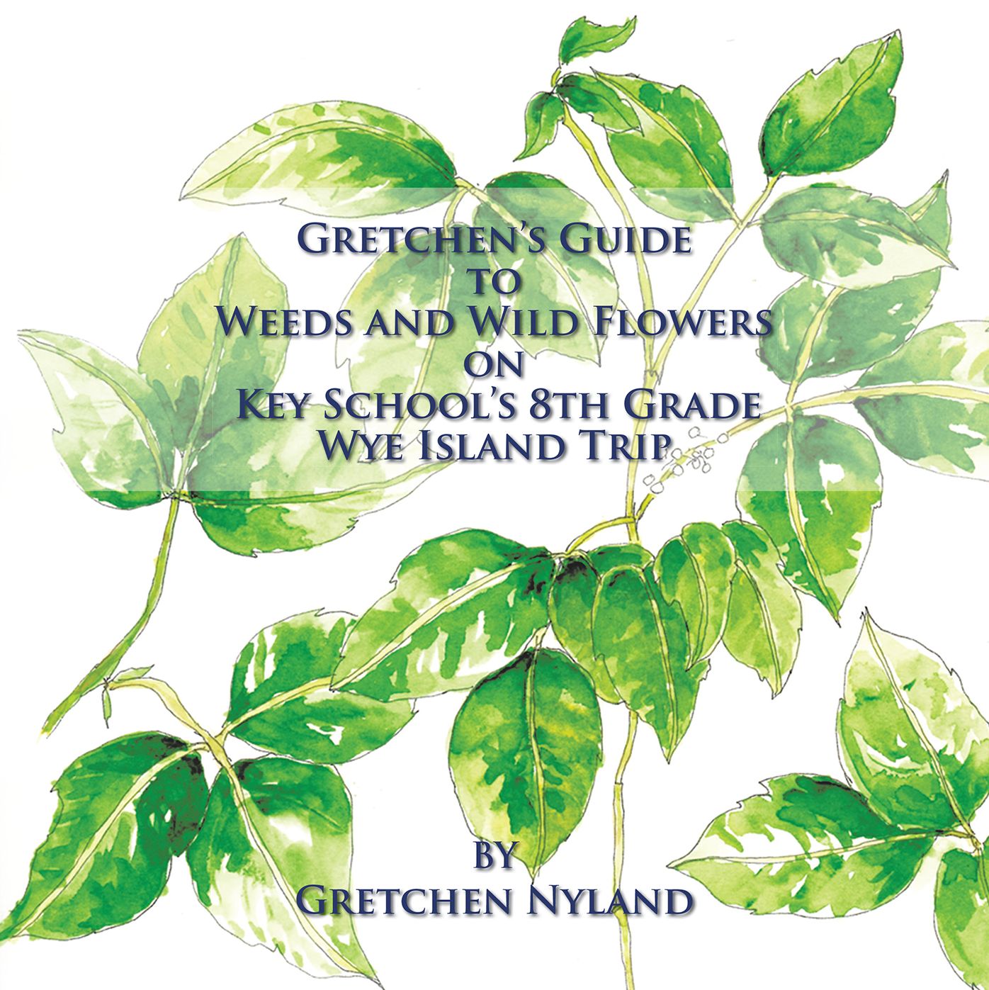 Gretchens Guide to Weeds and Wild Flowers on Key Schools 8Th Grade Wye Island Trip