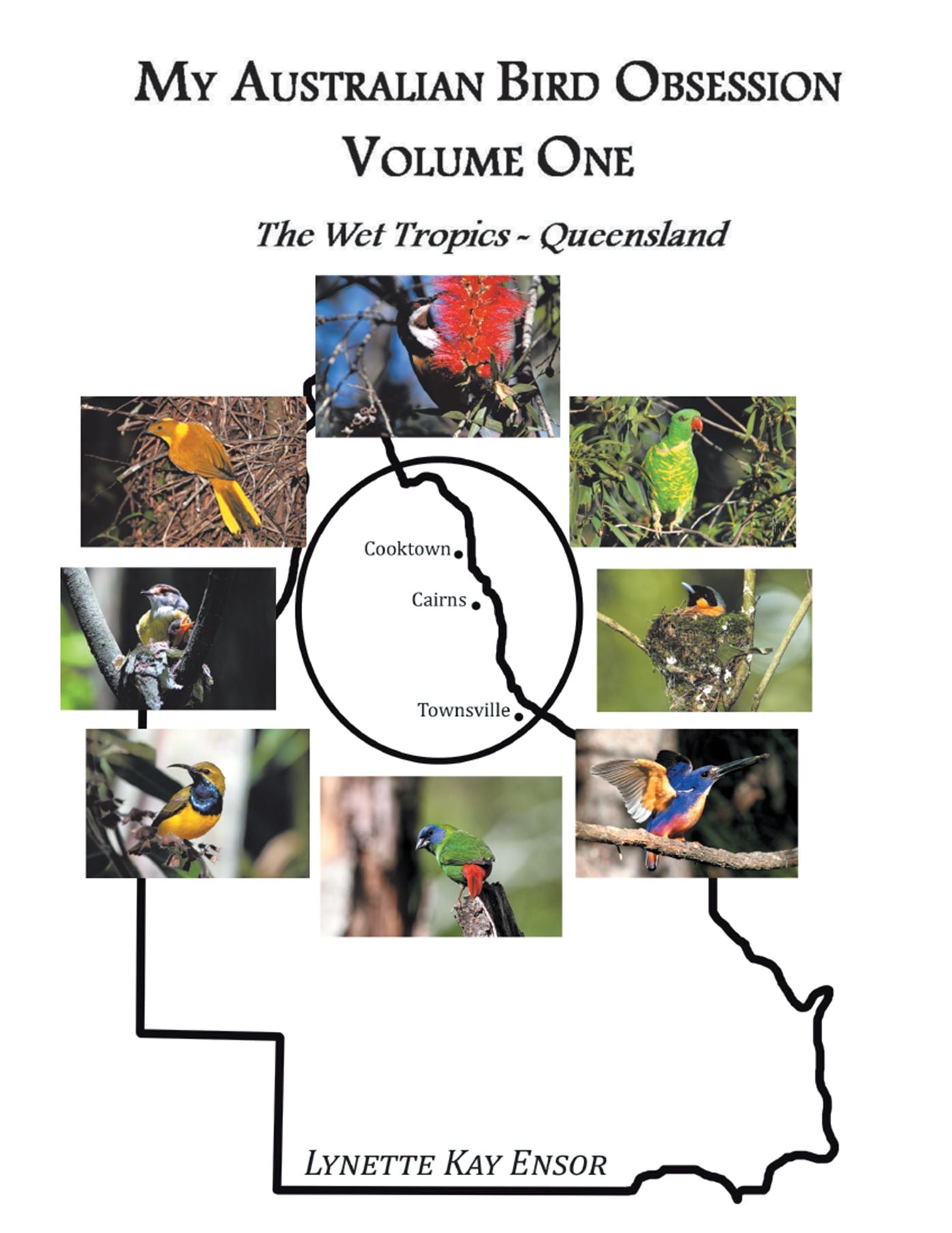 My Australian Bird Obsession Volume One - the Wet Tropics - Queensland
