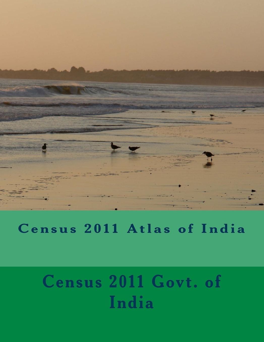 Census 2011 Atlas of India