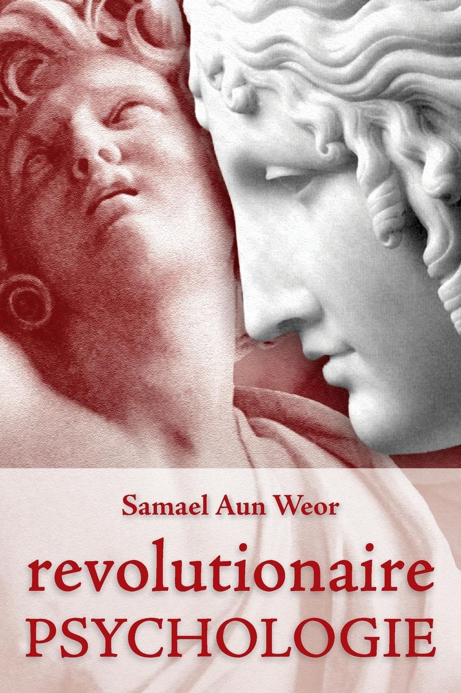 Revolutionaire Psychologie
