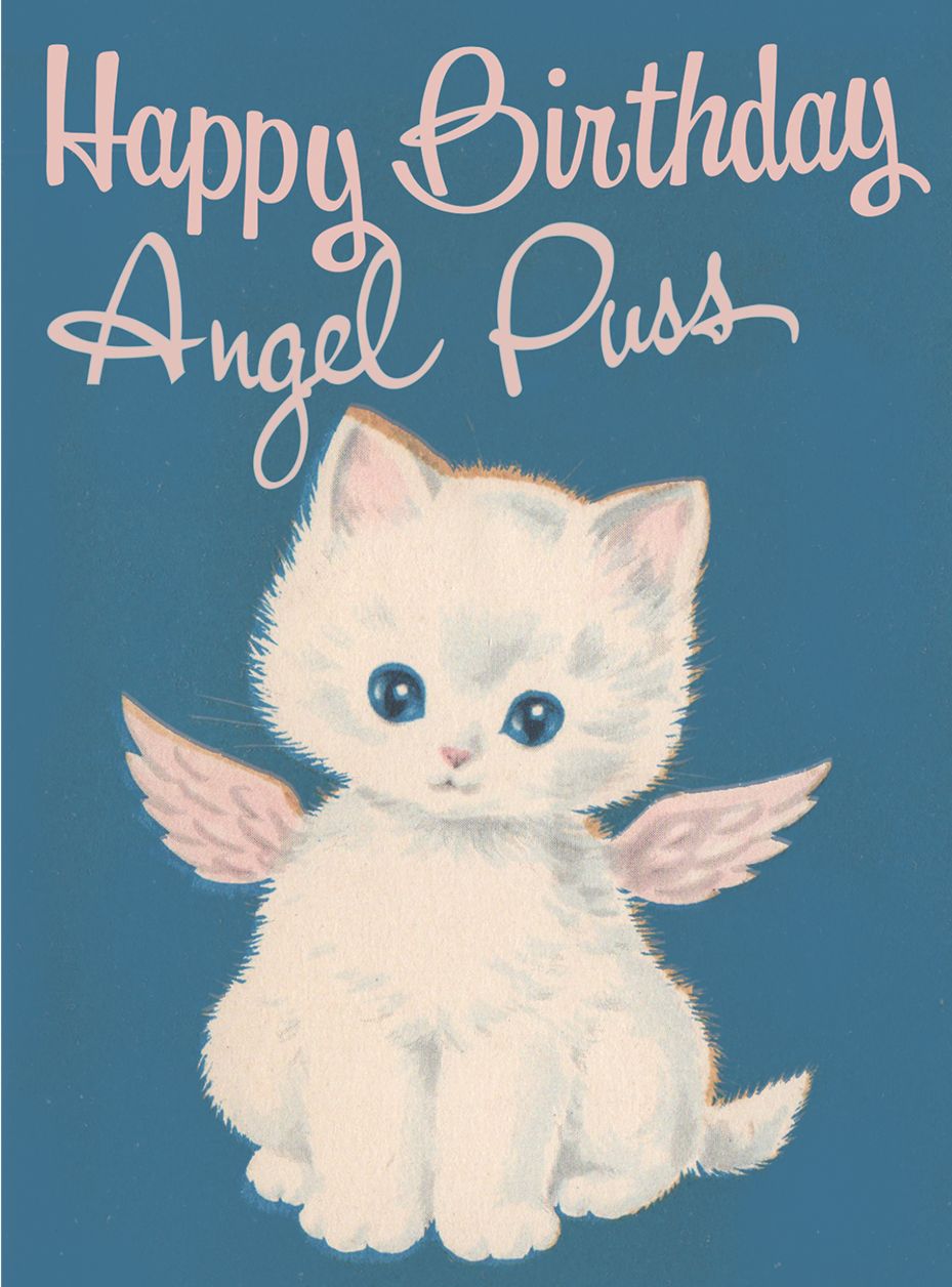 Angel Puss. 6 cards, individually bagged with envelopes