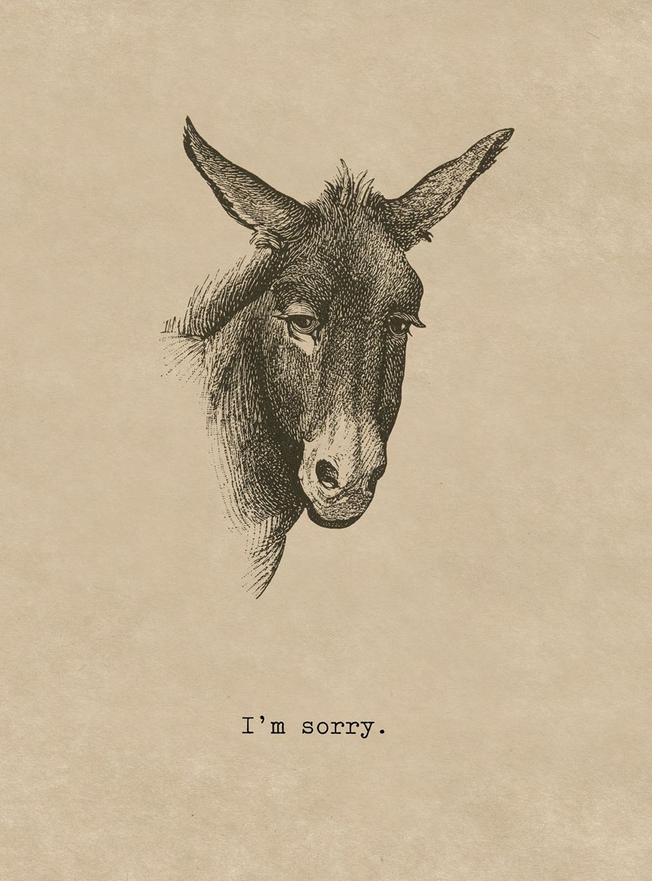 Sorry Donkey. 6 cards, individually bagged with envelopes