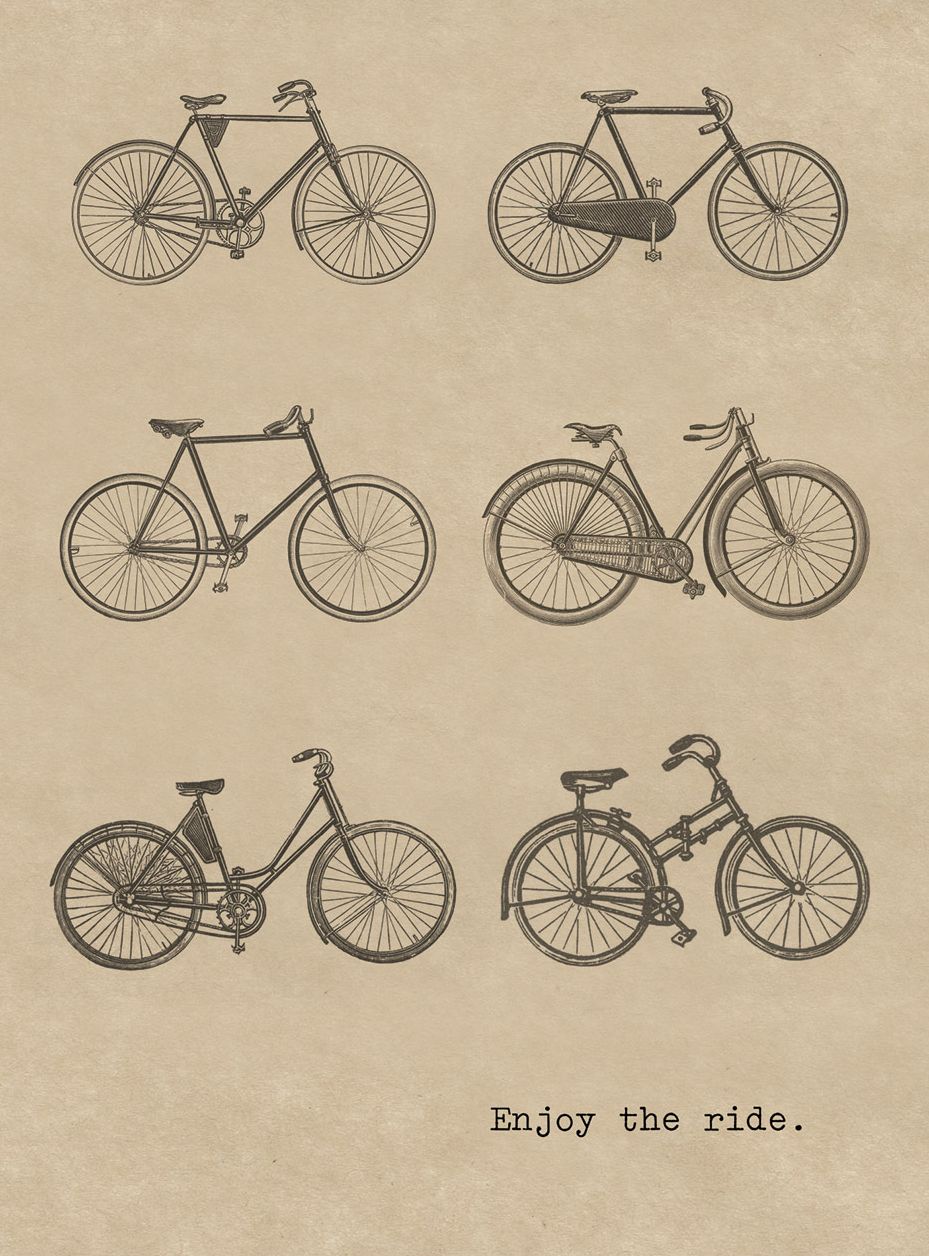 Six Bicycles. 6 cards, individually bagged with envelopes