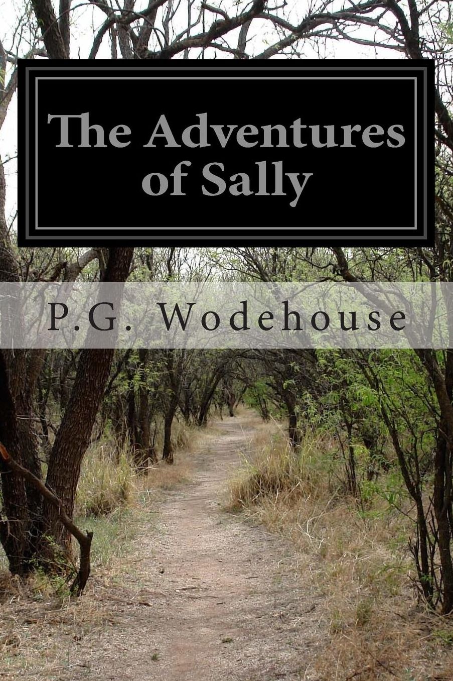 The Adventures of Sally