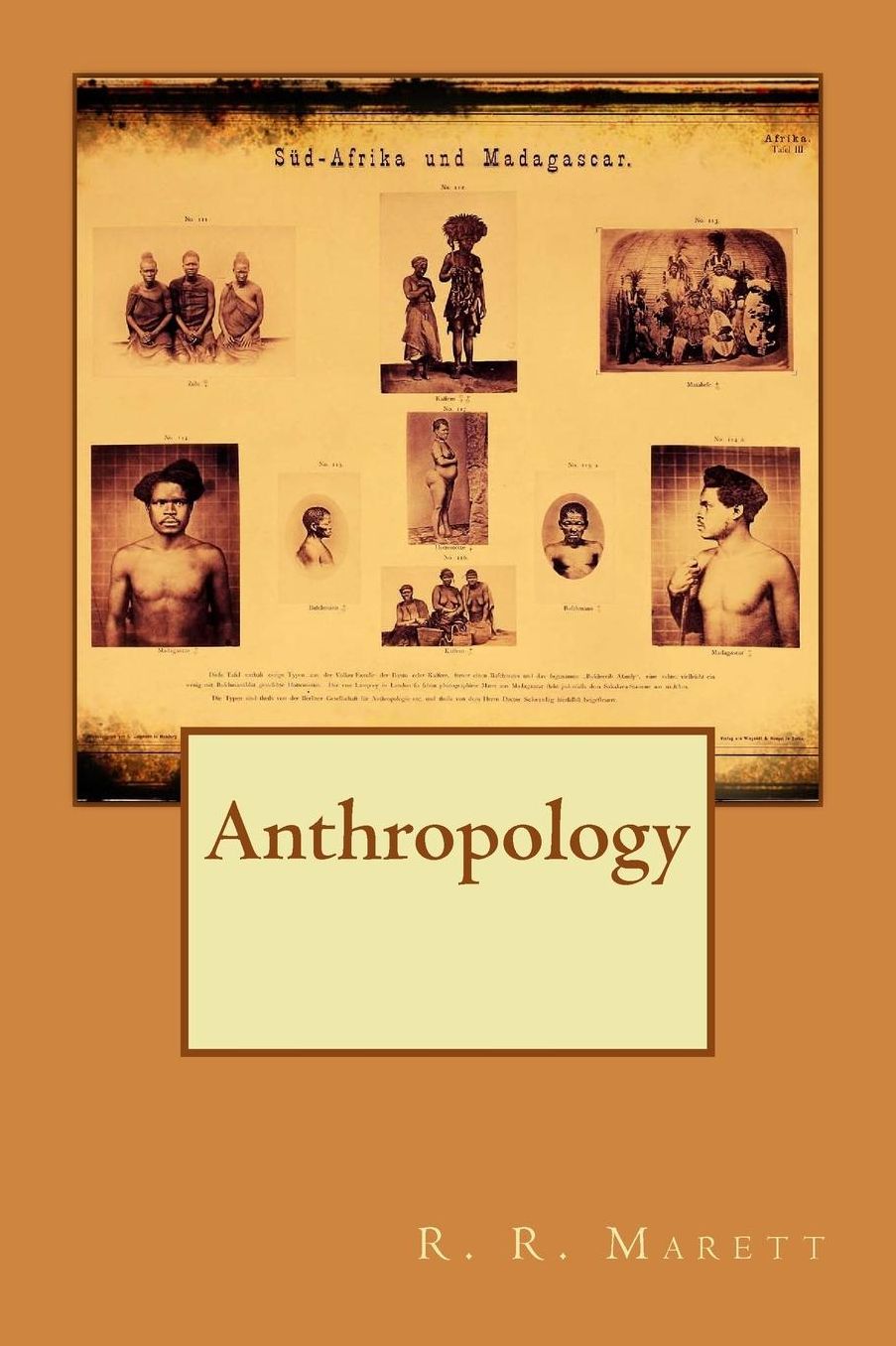 Anthropology
