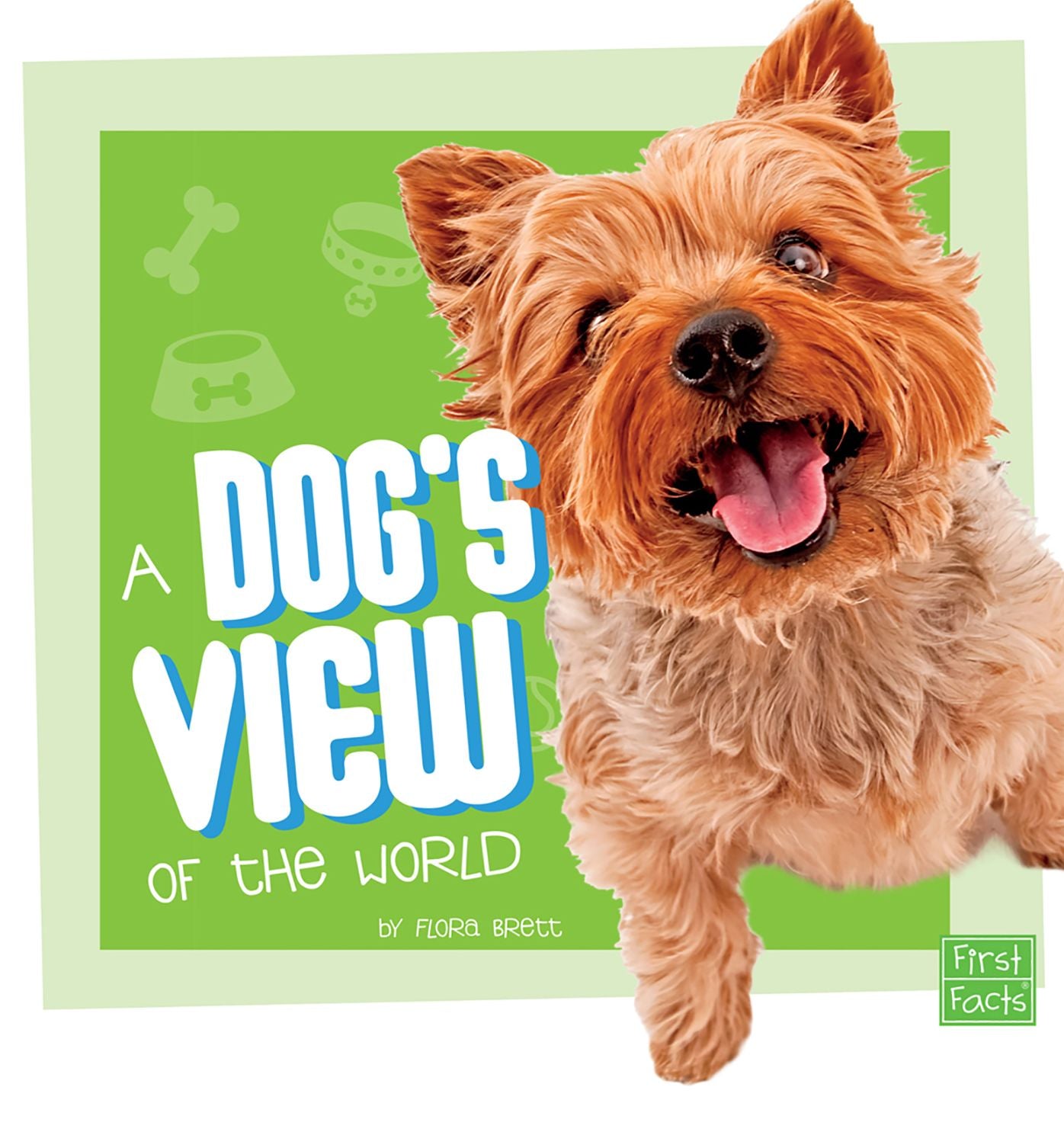 A Dog's View of the World