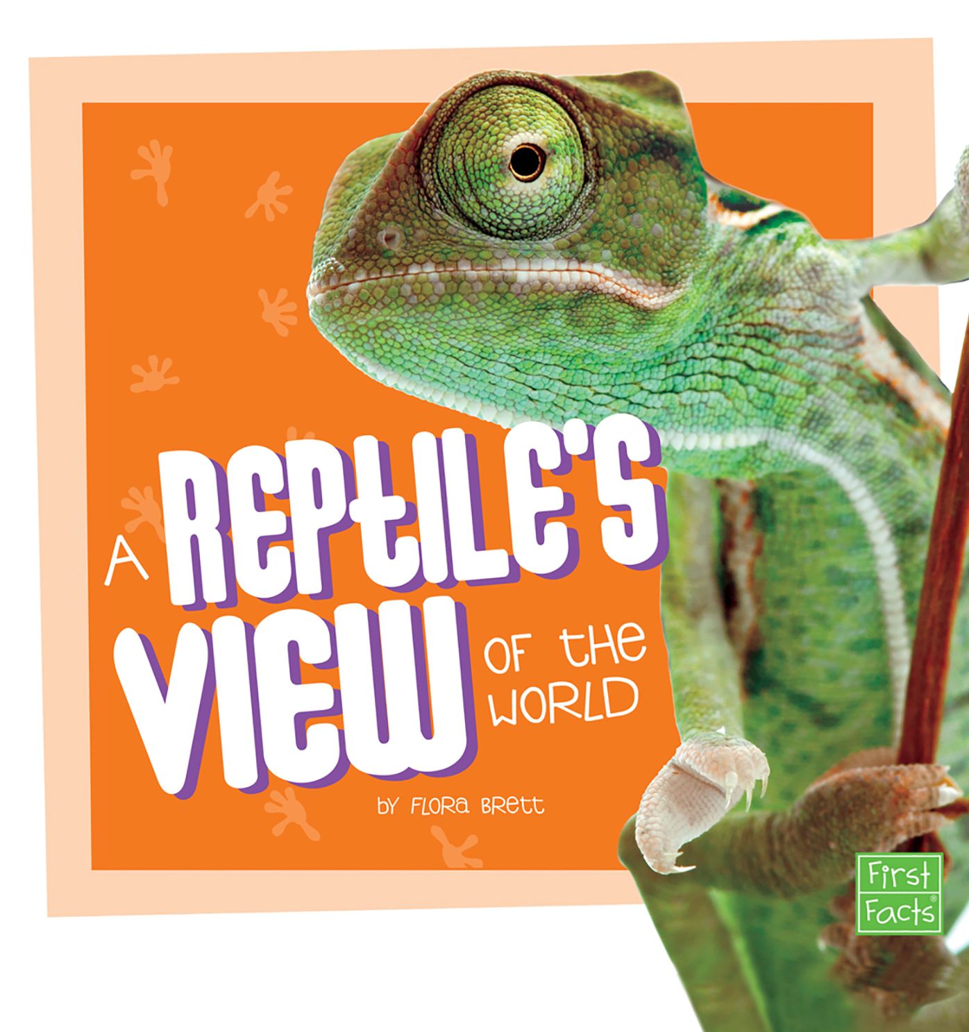 A Reptile's View of the World