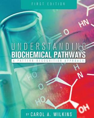 Understanding Biochemical Pathways: A Pattern-Recognition Approach