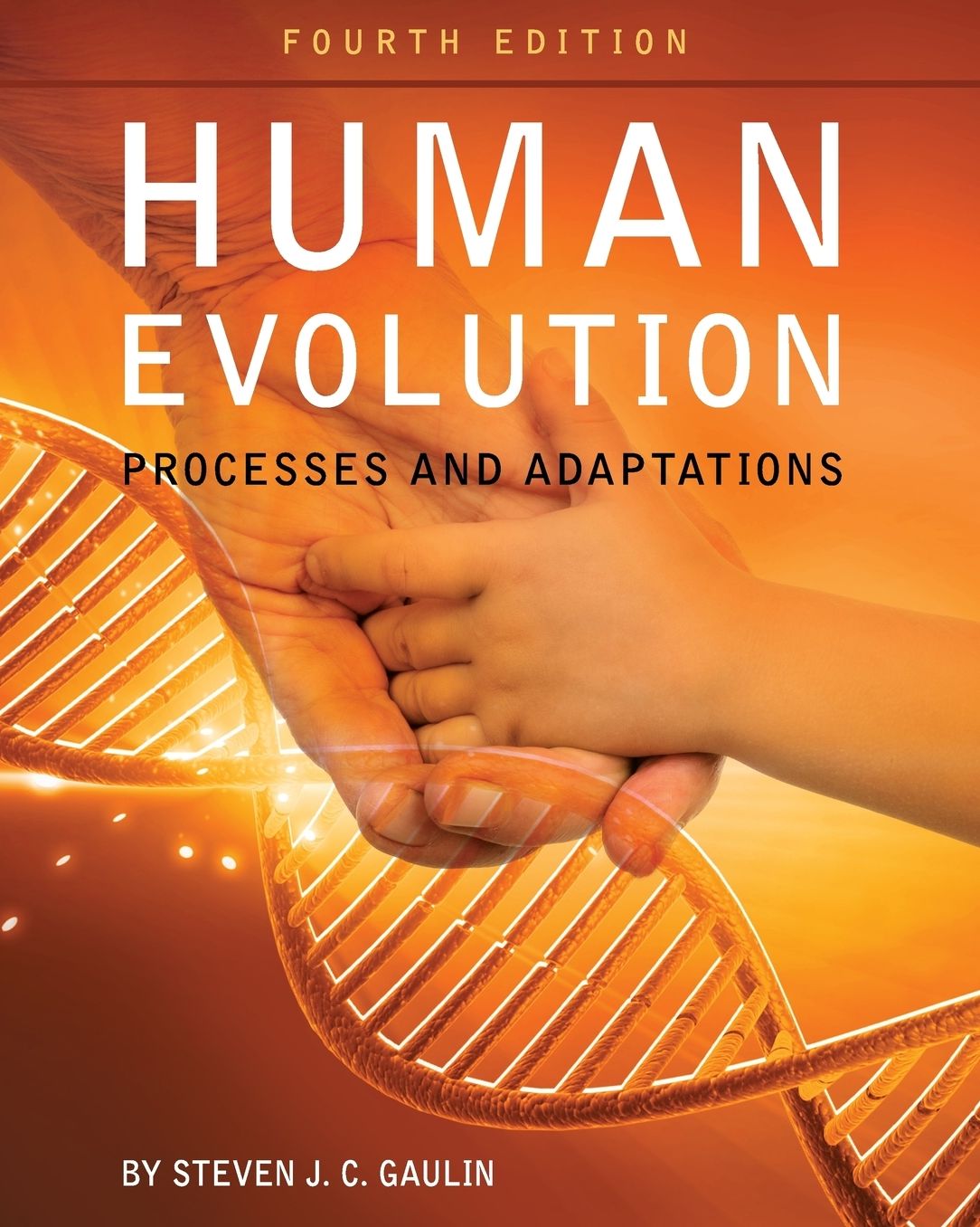 Human Evolution: Processes and Adaptations