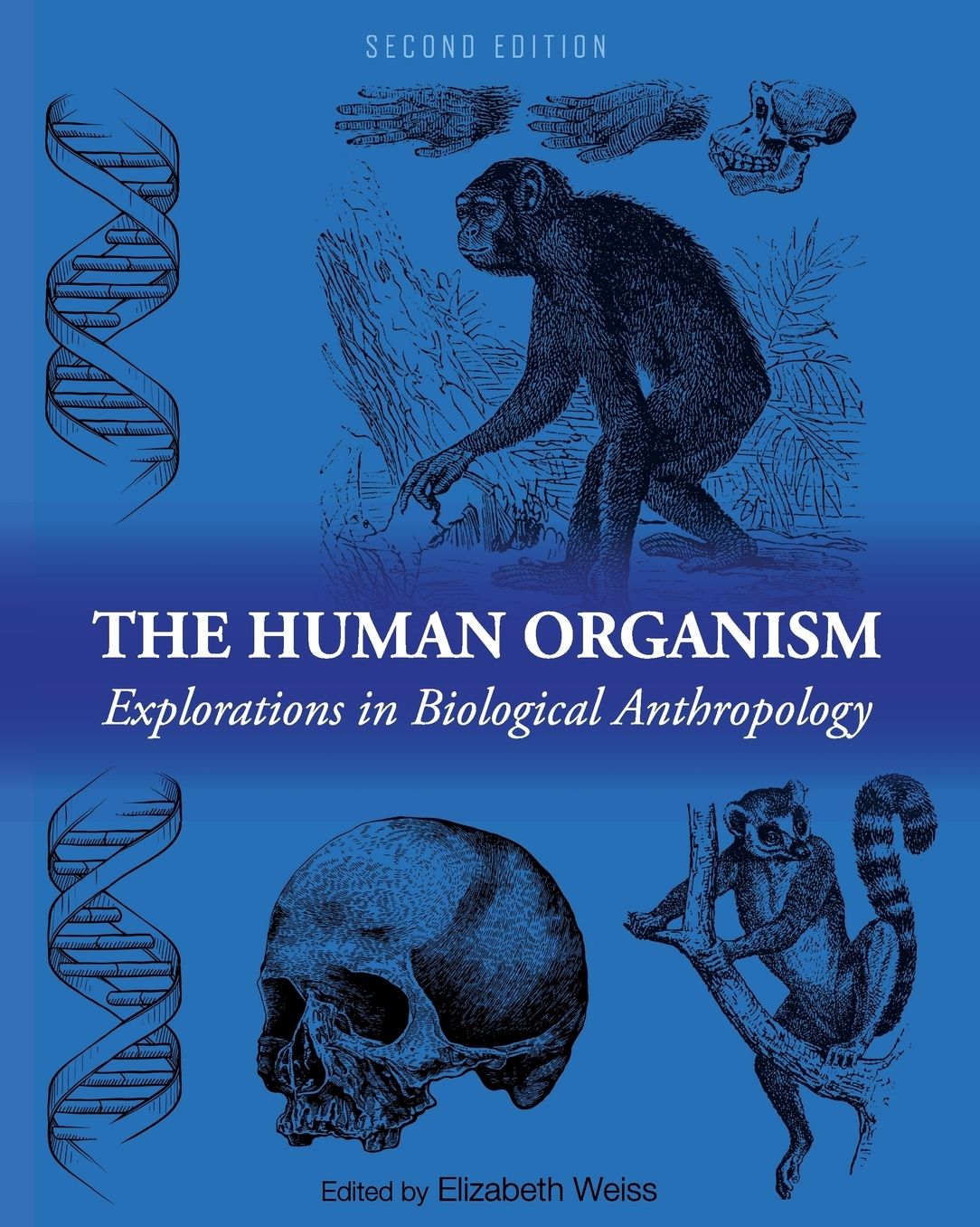 The Human Organism: Explorations in Biological Anthropology