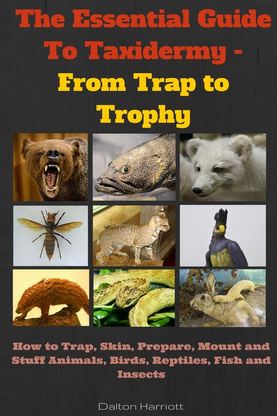 The Essential Guide To Taxidermy - From Trap to Trophy: How to Trap, Skin, Prepare, Mount and Stuff Animals, Birds, Reptiles, Fish and Insects
