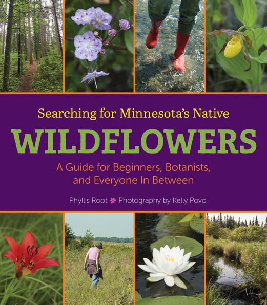 Searching for Minnesota's Native Wildflowers: A Guide for Beginners, Botanists, and Everyone in Between