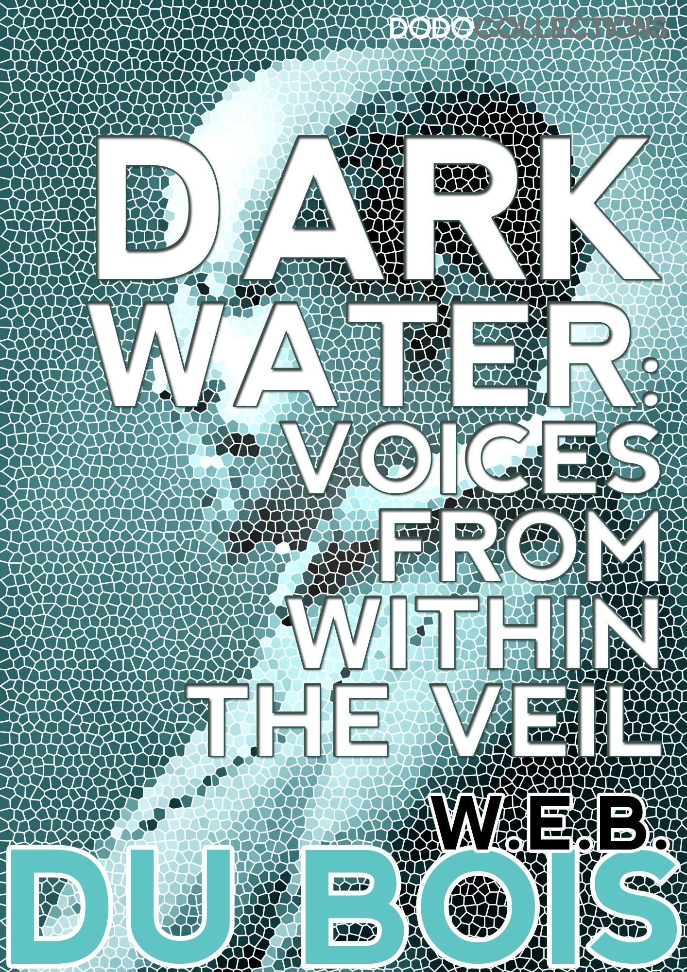 Darkwater: Voices from Within the Veil