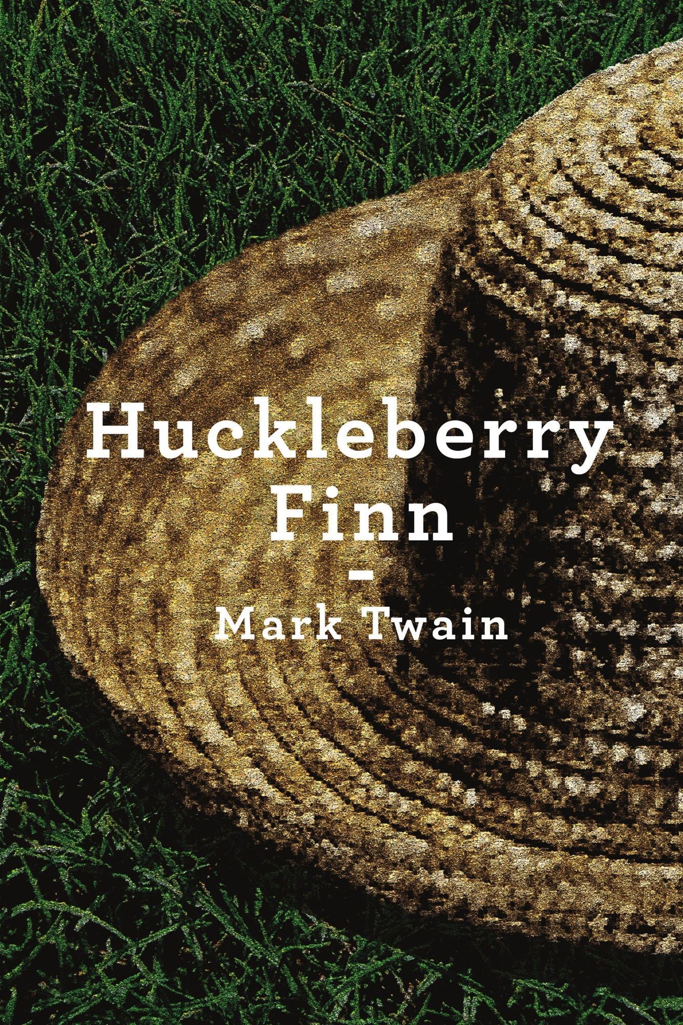 The Adventures of Huckleberry Finn