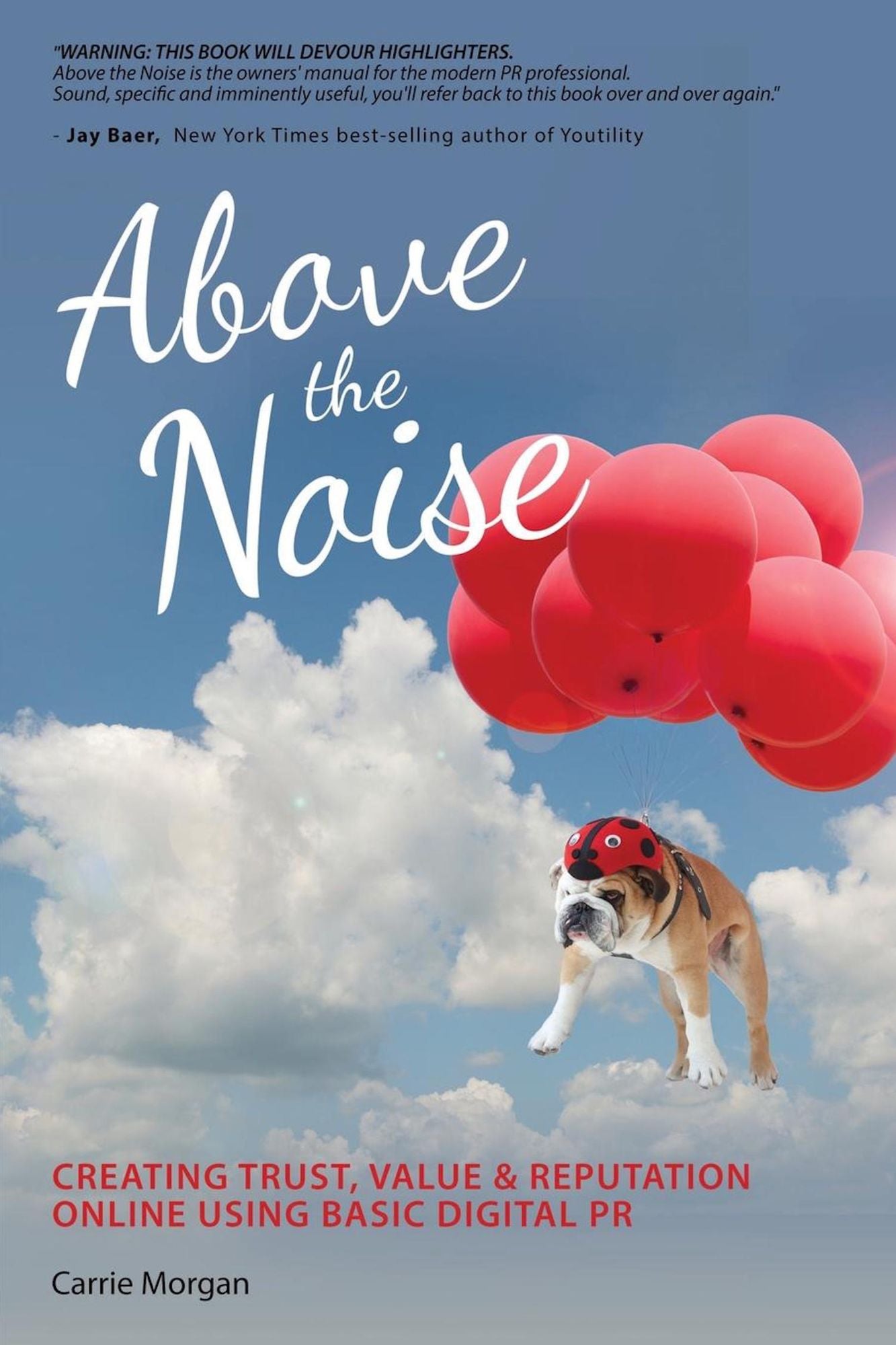 Above the Noise: Creating Trust, Value & Reputation Online Using Basic Digital PR