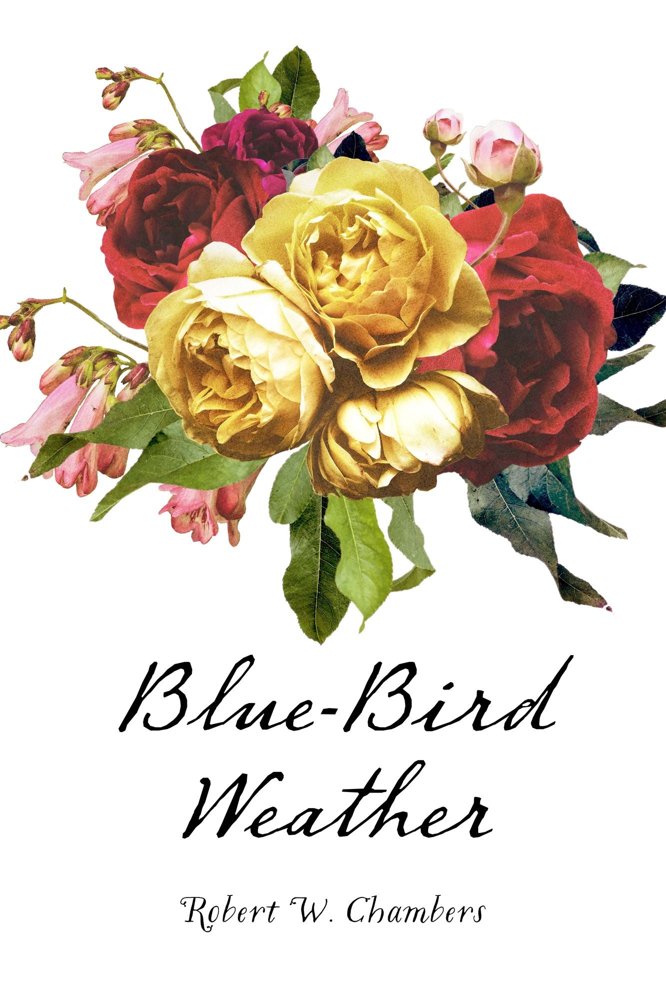Blue-Bird Weather