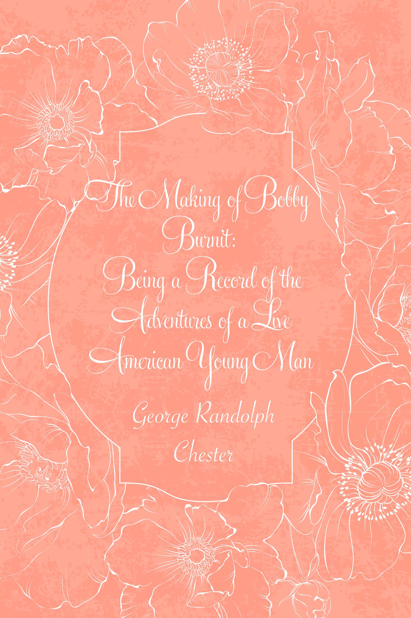 The Making of Bobby Burnit: Being a Record of the Adventures of a Live American Young Man