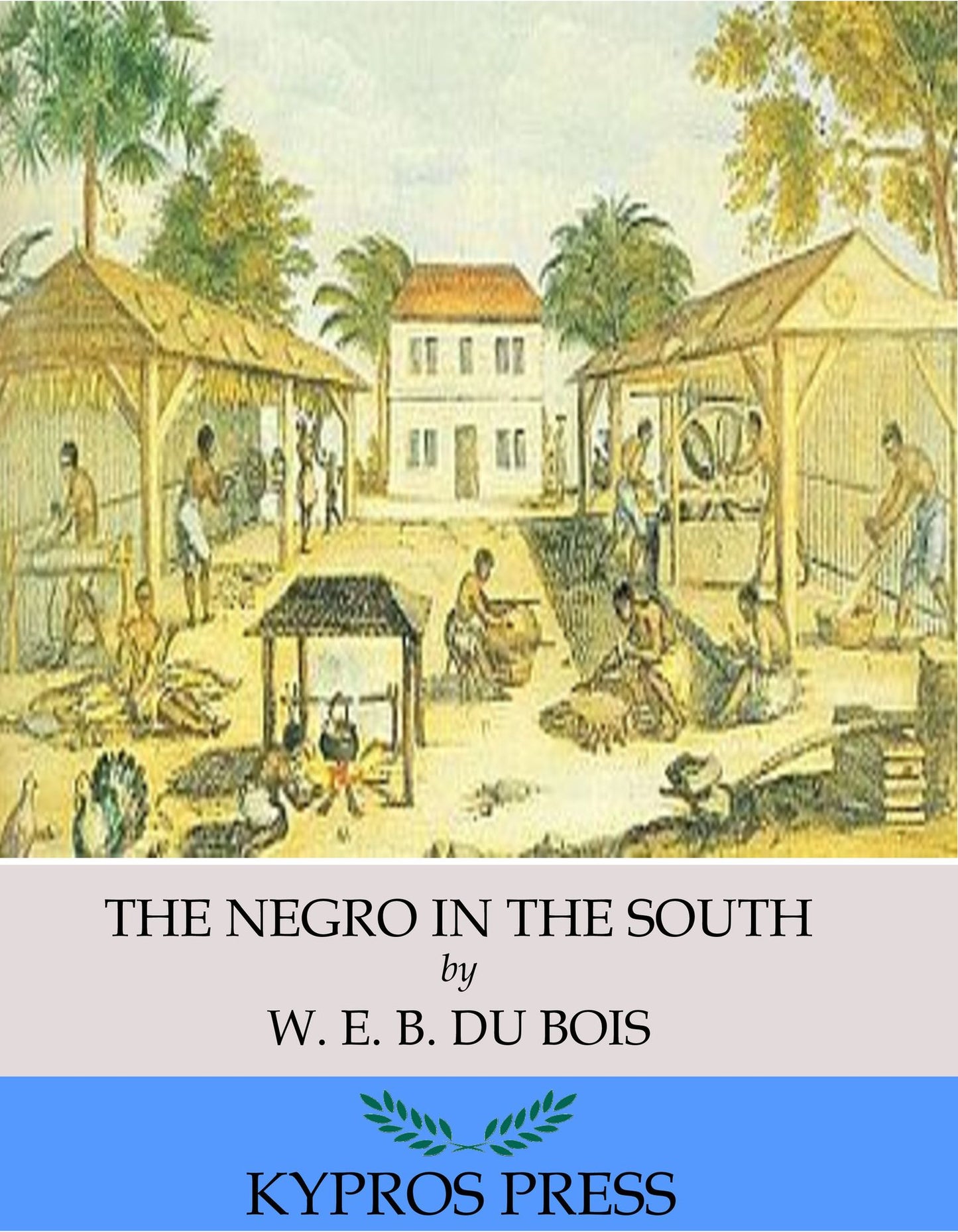 The Negro in the South