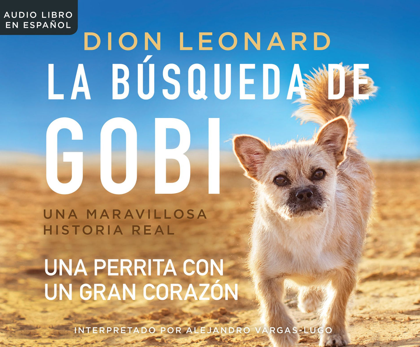 La busqueda de Gobi (Finding Gobi): Un perrita con un gran corazon (A Little Dog with a Very Big Heart)