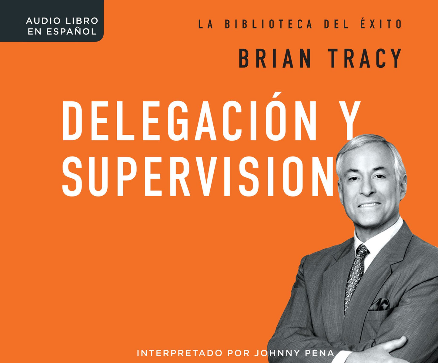 Delegacion y supervision (Delegation and Supervision)