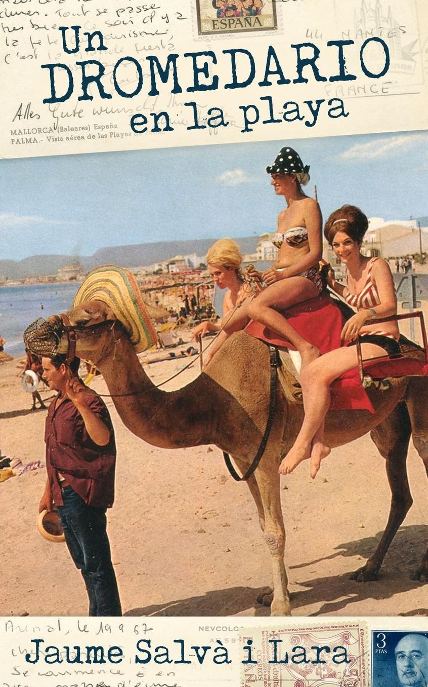 Un dromedario en la playa