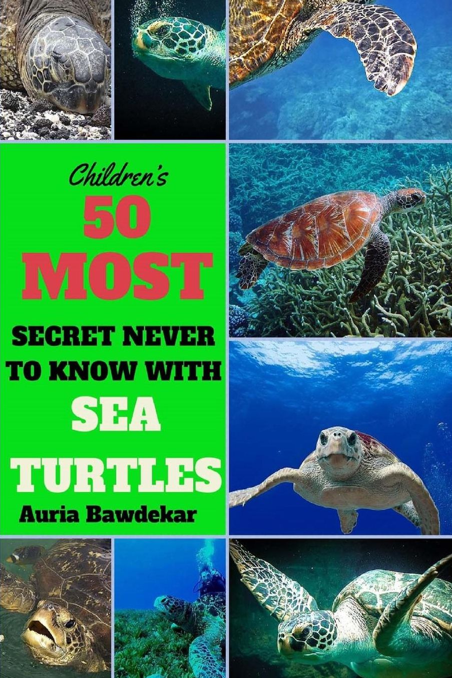 50 Most Secret Never To Know With Sea Turtles