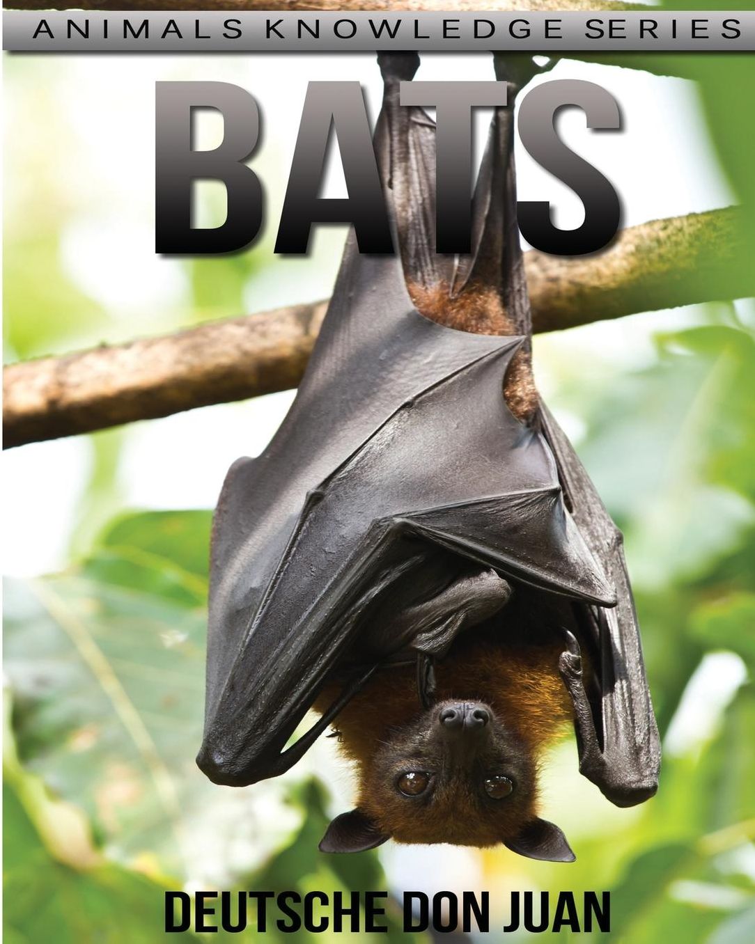Bats: Beautiful Pictures & Interesting Facts Children Book About Bats