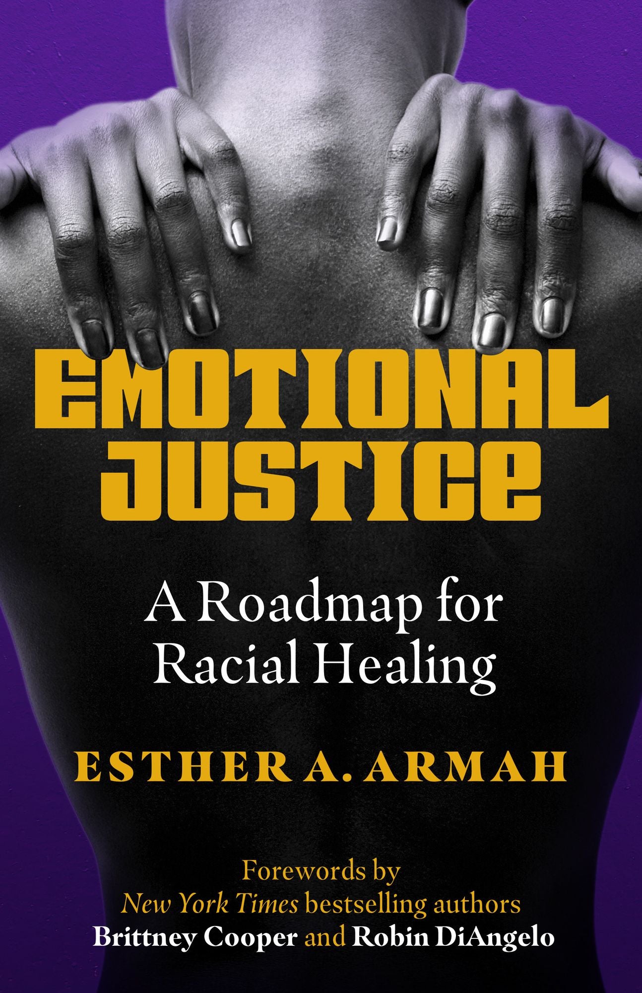 Emotional Justice: A Roadmap for Racial Healing