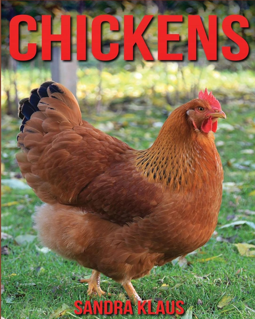 Childrens Book: Amazing Facts & Pictures about Chickens