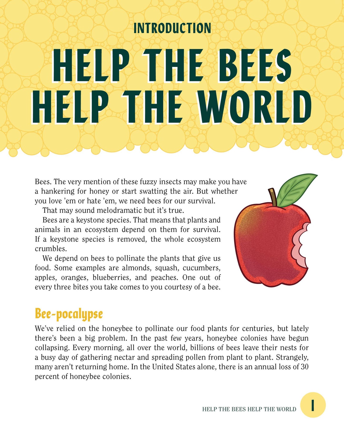 Turn This Book Into a Beehive!: And 19 Other Experiments and Activities That Explore the Amazing World of Bees