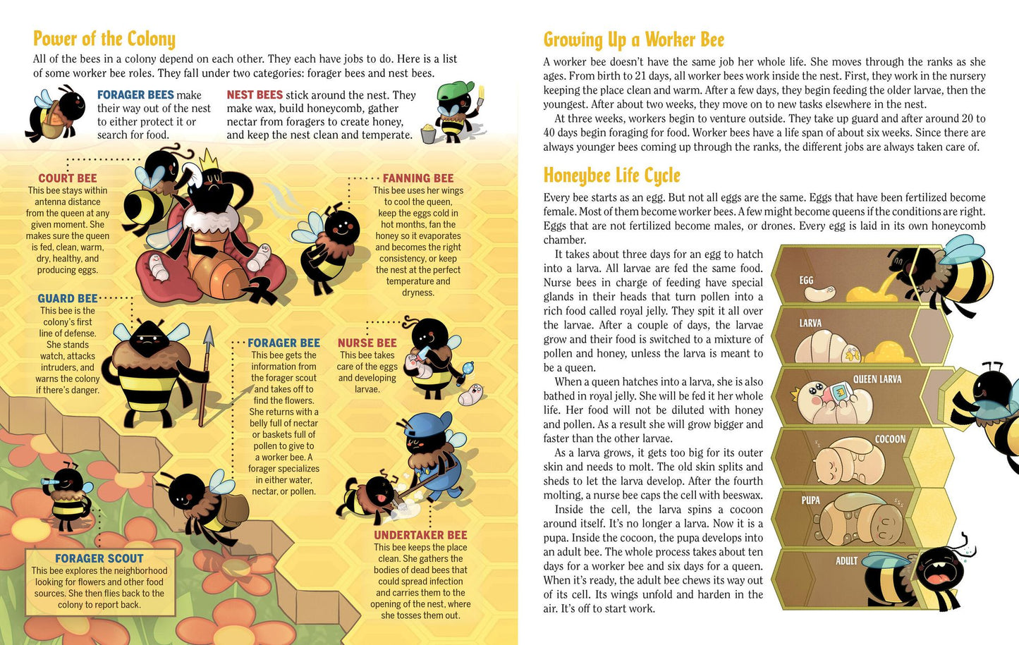 Turn This Book Into a Beehive!: And 19 Other Experiments and Activities That Explore the Amazing World of Bees