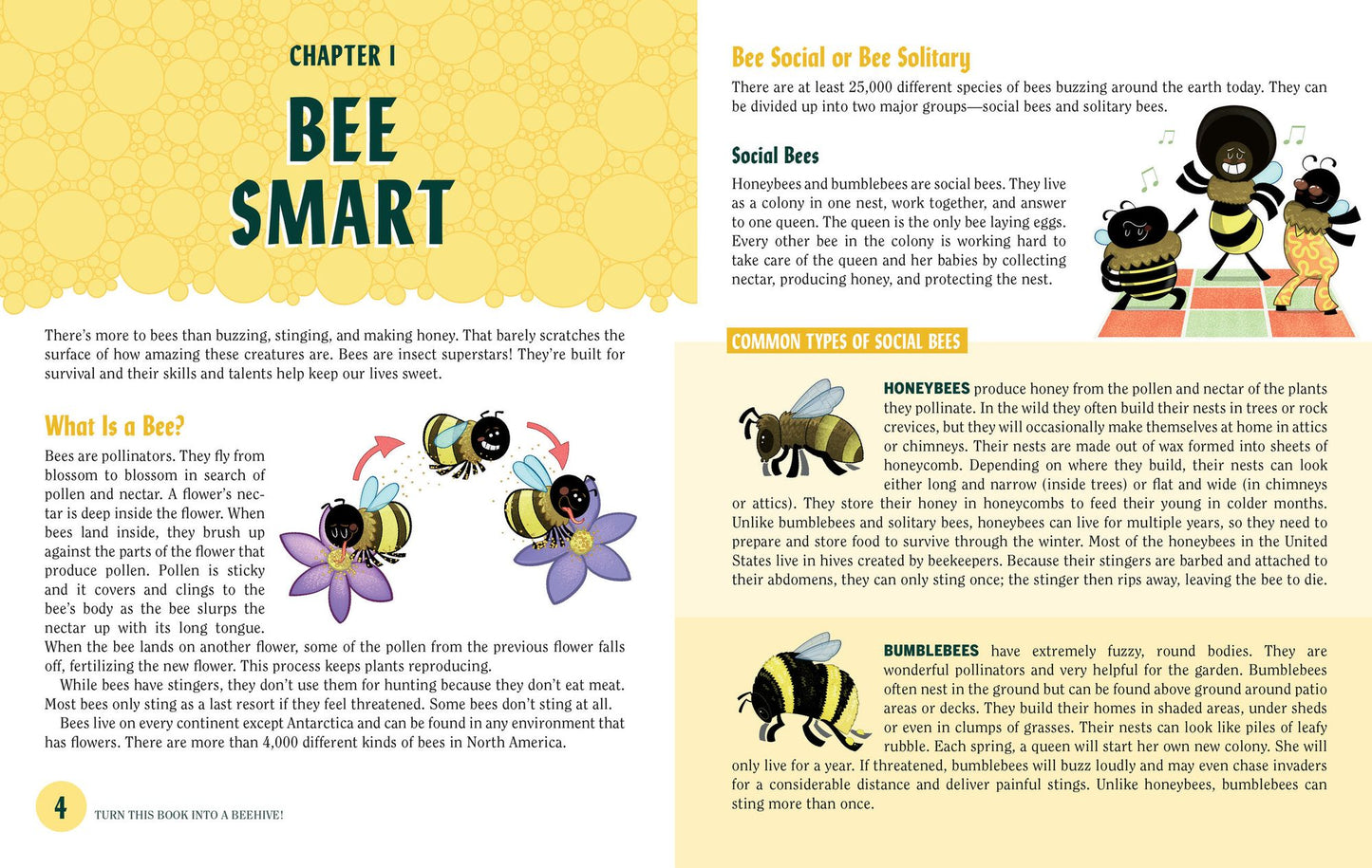 Turn This Book Into a Beehive!: And 19 Other Experiments and Activities That Explore the Amazing World of Bees