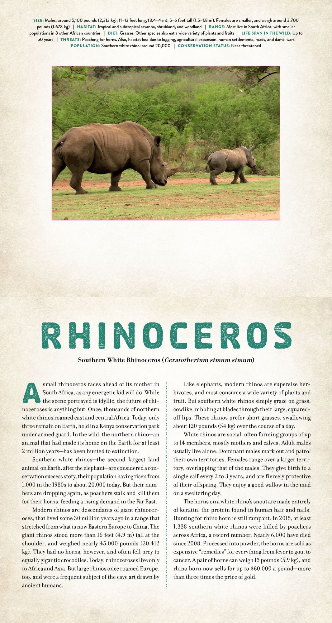 Wild: Endangered Animals in Living Motion