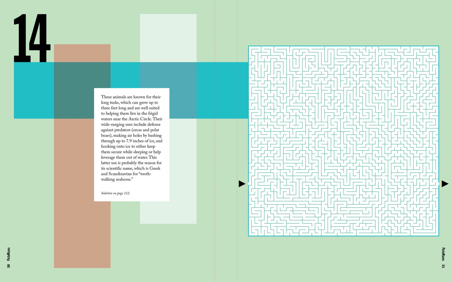 PictoMazes: Find 72 Hidden Animals!