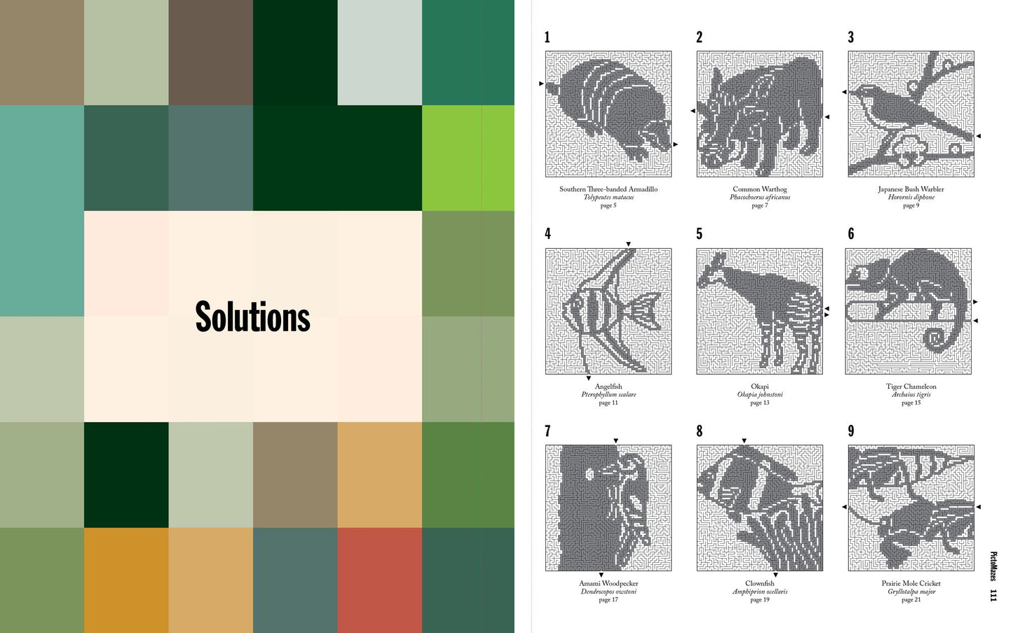 PictoMazes: Find 72 Hidden Animals!