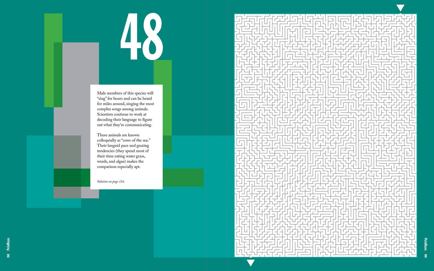 PictoMazes: Find 72 Hidden Animals!