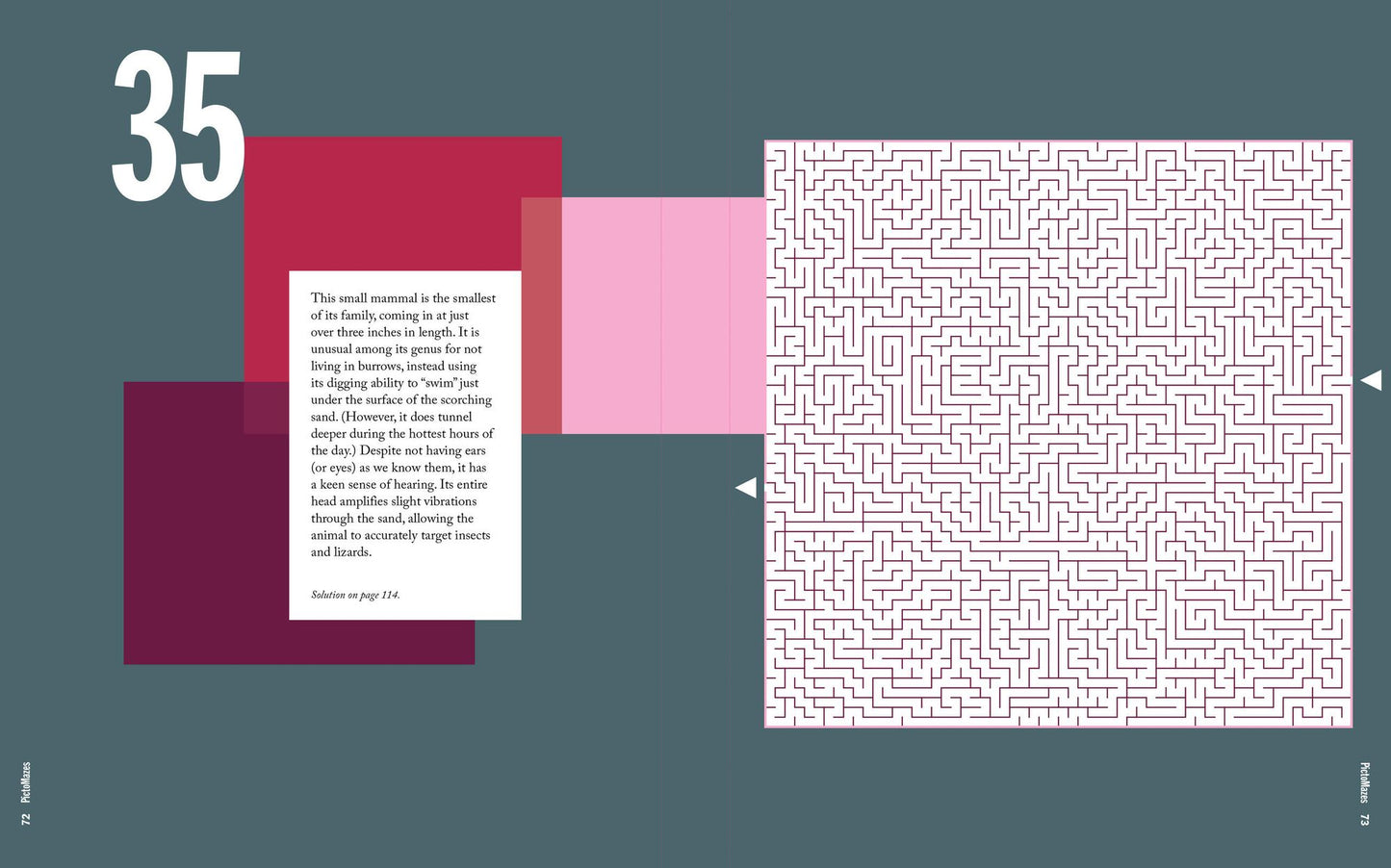 PictoMazes: Find 72 Hidden Animals!