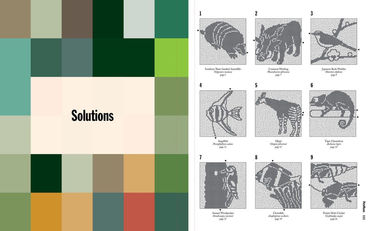 PictoMazes: Find 72 Hidden Animals!
