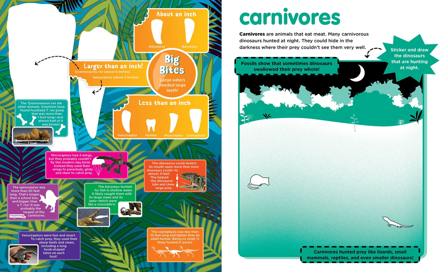 Peel + Discover: Dinosaurs