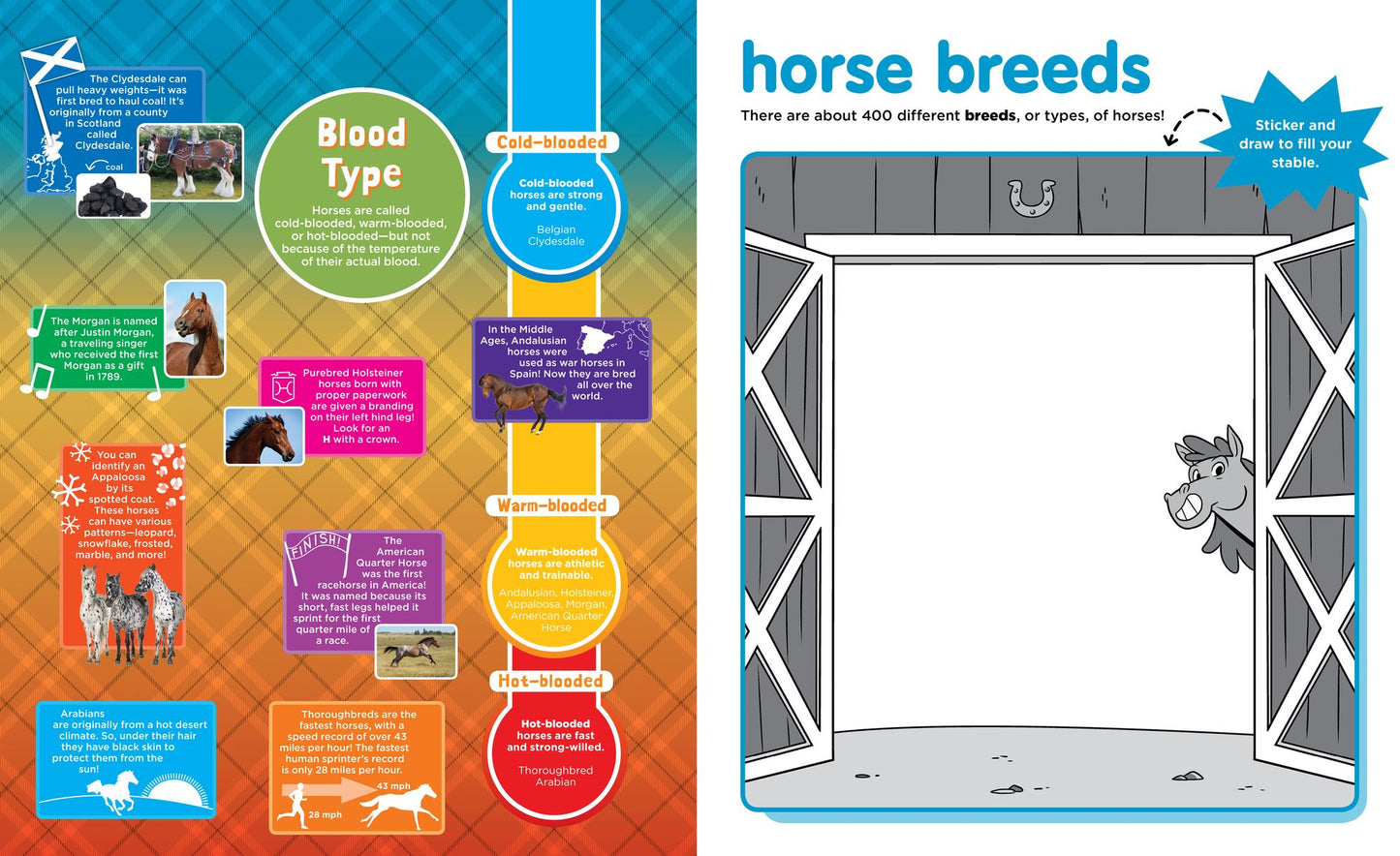 Peel + Discover: Horses