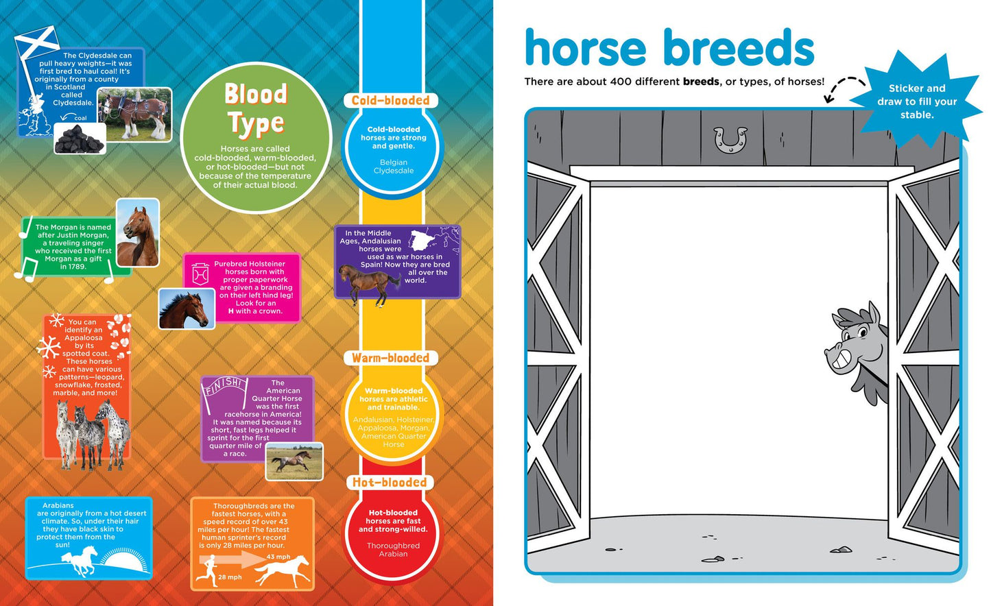 Peel + Discover: Horses