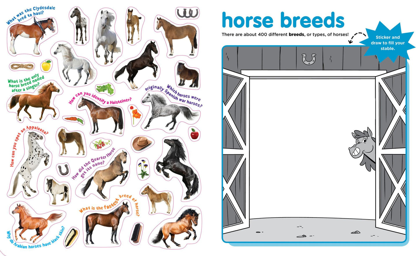 Peel + Discover: Horses