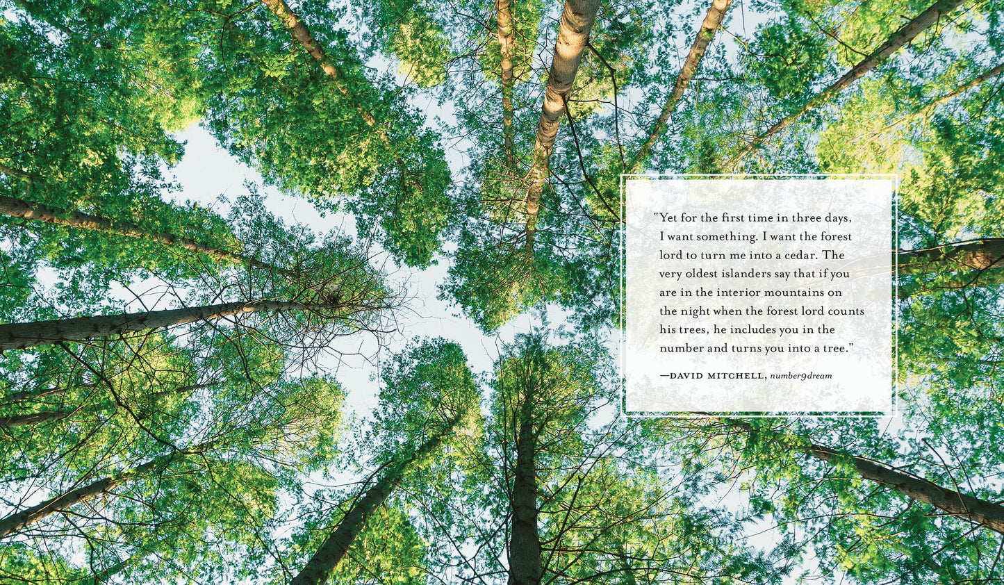 An Invitation to Dream: A Bedtime Companion to Fill Your Sleep with Wonder