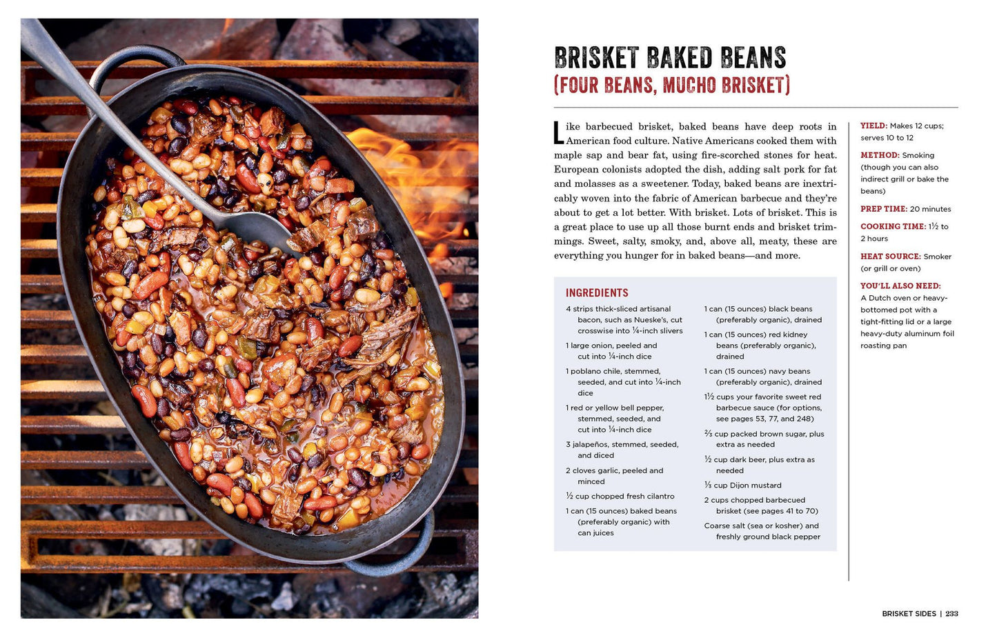The Brisket Chronicles: How to Barbecue, Braise, Smoke, and Cure the World's Most Epic Cut of Meat