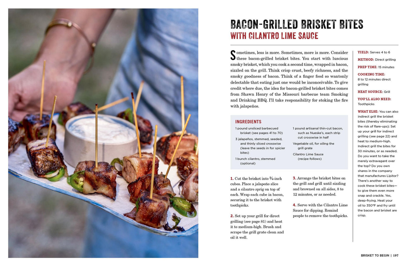 The Brisket Chronicles: How to Barbecue, Braise, Smoke, and Cure the World's Most Epic Cut of Meat