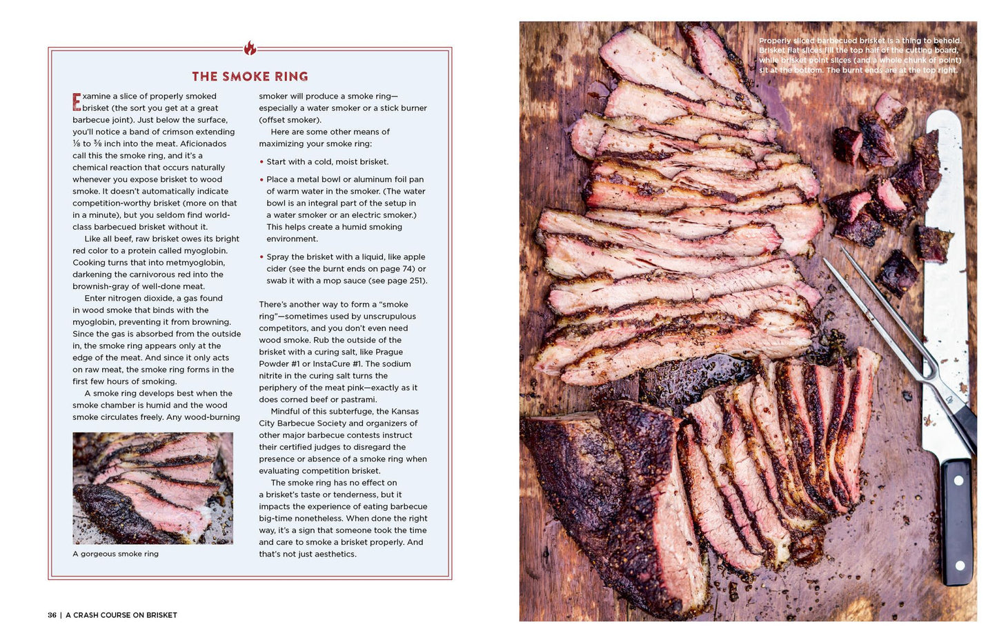 The Brisket Chronicles: How to Barbecue, Braise, Smoke, and Cure the World's Most Epic Cut of Meat