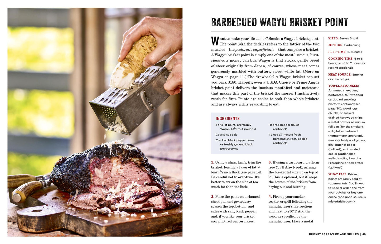 The Brisket Chronicles: How to Barbecue, Braise, Smoke, and Cure the World's Most Epic Cut of Meat